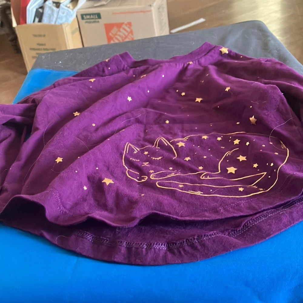 FINAL MARKDOWN Dip Purple Shirt with Gold Cat Design 2t